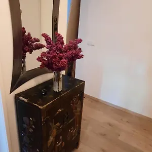 Schone In Der Grazer Innenstadt Graz
